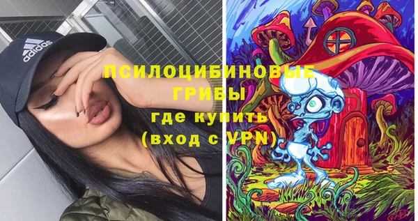альфа пвп Алексеевка
