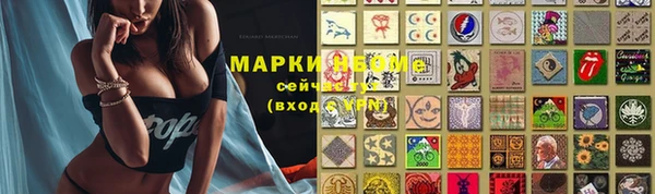 a pvp Алзамай