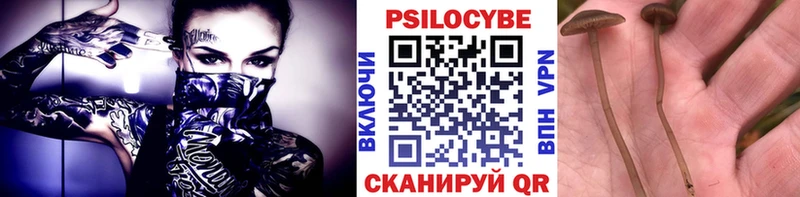 купить наркотики цена  Малаховка  Галлюциногенные грибы MAGIC MUSHROOMS 