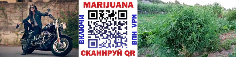 Шишки марихуана планчик  Малаховка 